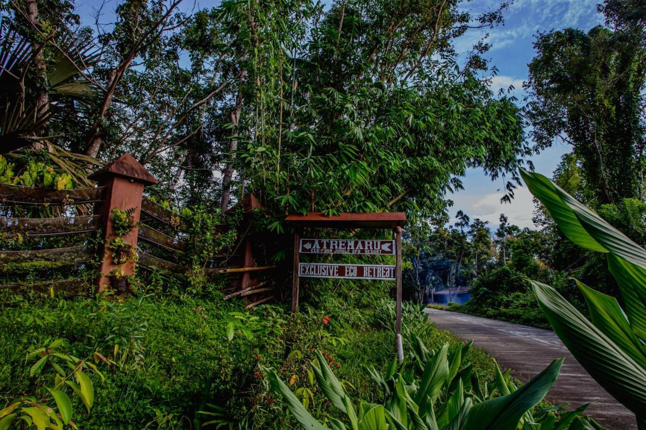 Atremaru Jungle Retreat Hotel Puerto Princesa Buitenkant foto